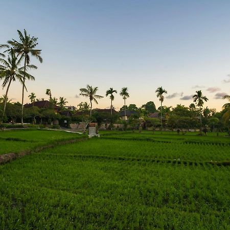 Agung Raka Villa Убуд Екстер'єр фото